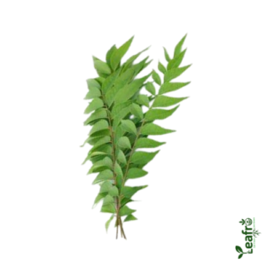 Organic Karivepaku – Farm Fresh 1bn