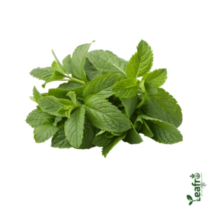 Organic Pudina – Farm Fresh 100 gr