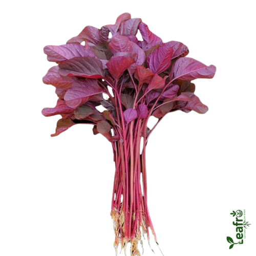 organic red thotakura leaves farm grown