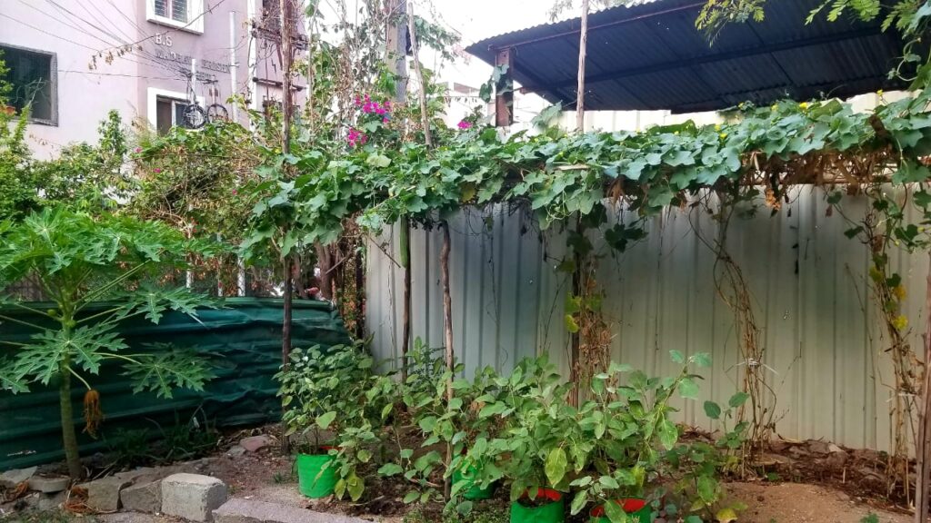 Leafy Vegetables Online in Hyderabad